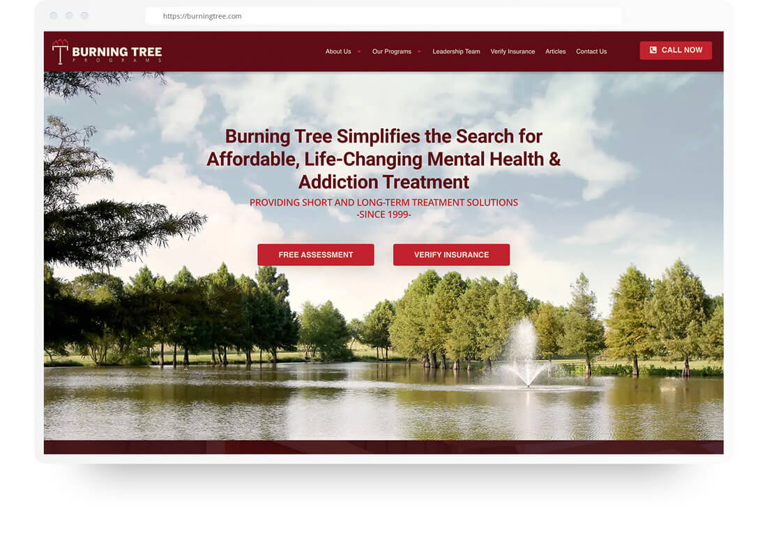 Website design - Burning Tree Programs